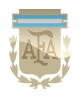 Argentinien Nationaltrikots