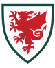 Wales EM 2020 Damen