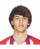 Joao Felix Trikot